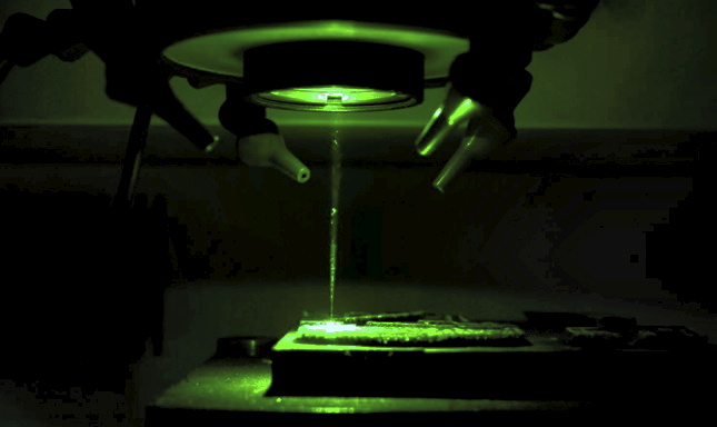 Leonardo dicaprio deals lab grown diamonds